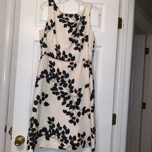 Loft shift dress